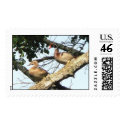Wood Ducks Stamp