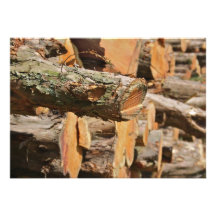 Wood Logs Invitation