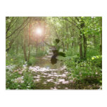 Wood Nymph Post Card