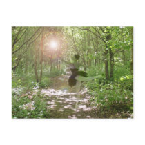 Wood Nymph Post Card