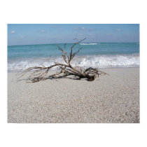 Wood on the beach posters by sbkerrick Wood on the beach posters