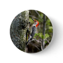 Wood Pecker - Red Bellied buttons