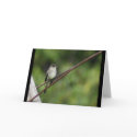 Wood Peewee Card