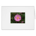 Wood Rose cards by nancyro Wood Rose cards