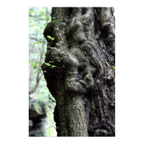 wood sprite posters