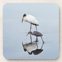 Wood Stork and Blue Heron Wading Beverage Coasters