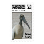 Wood Stork Bird Postage