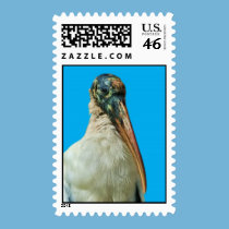 Wood Stork Bird  Postage Stamp stamps