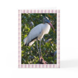 Wood Stork Card