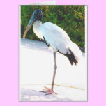 Wood stork in evening wear cards