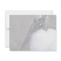 Wood Stork invitations by animalpark Wood Stork invitations
