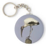 Wood Stork Keychains