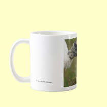 Wood Stork mugs