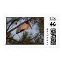 Wood Stork postage