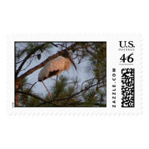 Wood Stork postage by buffett38 Wood Stork postage