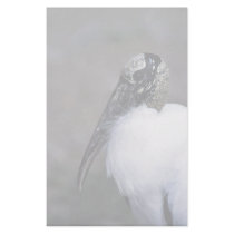 Wood Stork stationery