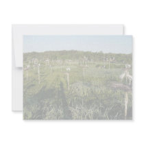 Wood storks on ladders invitations by animalpark Wood storks on ladders invitations