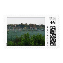 Wood storks on ladders stamp