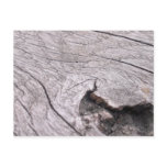 Wood texture postcards