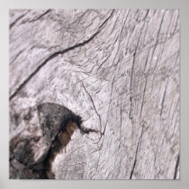 Wood texture posters