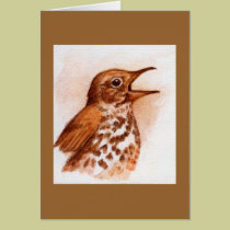 Wood Thrush -bird Note Card cards