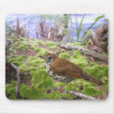 Wood Thrush in Brush mousepads by skytopian Wood Thrush in Brush mousepads