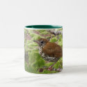 Wood Thrush in Brush mugs by skytopian Wood Thrush in Brush mugs