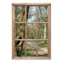 window, scenes, views, wood, woodland, path,