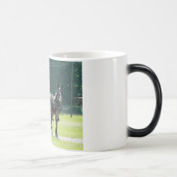 woodbury tn mule show coffee mug