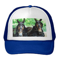 woodbury tn mule show hats