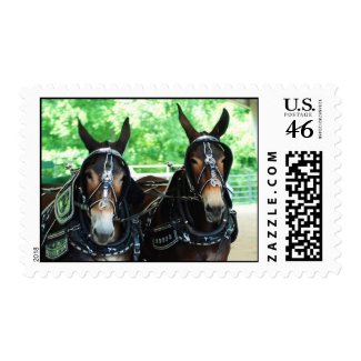 Mule Tandem Hitch Postage Stamps