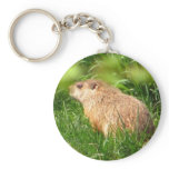 Woodchuck ~ keychain