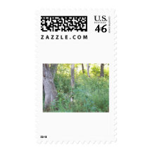 wooded area stamps