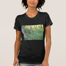 wooded area tshirts
