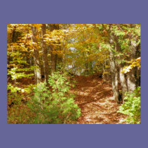 Wooded Path posters