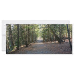 Wooded Trail Rack Card Design