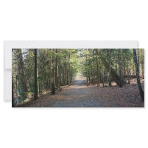 Wooded Trail Rack Card Design