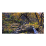 Wooden Archway Photo Cards