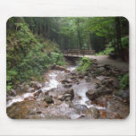 Wooden Bridge In The Forest With Water And Rocks Mousepads