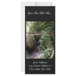 Wooden Bridge Over The Water In The Forest With Bi Rack Card