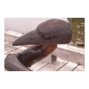 wooden crow posters