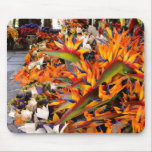 flower, flowers, floral, florist, florists,
