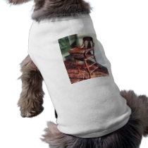 Wooden High Chair pet clothing