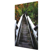 wooden Path Canvas Prints