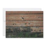 Wooden planks with algae grass  growing photograph personalized announcements