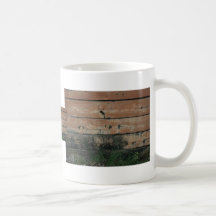 Wooden planks with algae grass  growing photograph mug