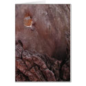Wooden Tears cards by Cards_By_Janz Wooden Tears cards