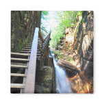 Wooden Walkway Waterfall Flume Gorge NH Magnet