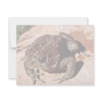 Woodhouse Toad invitations by animalpark Woodhouse Toad invitations