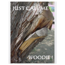 WOODIE 1 AND 2 PERSONALIZED FLYER